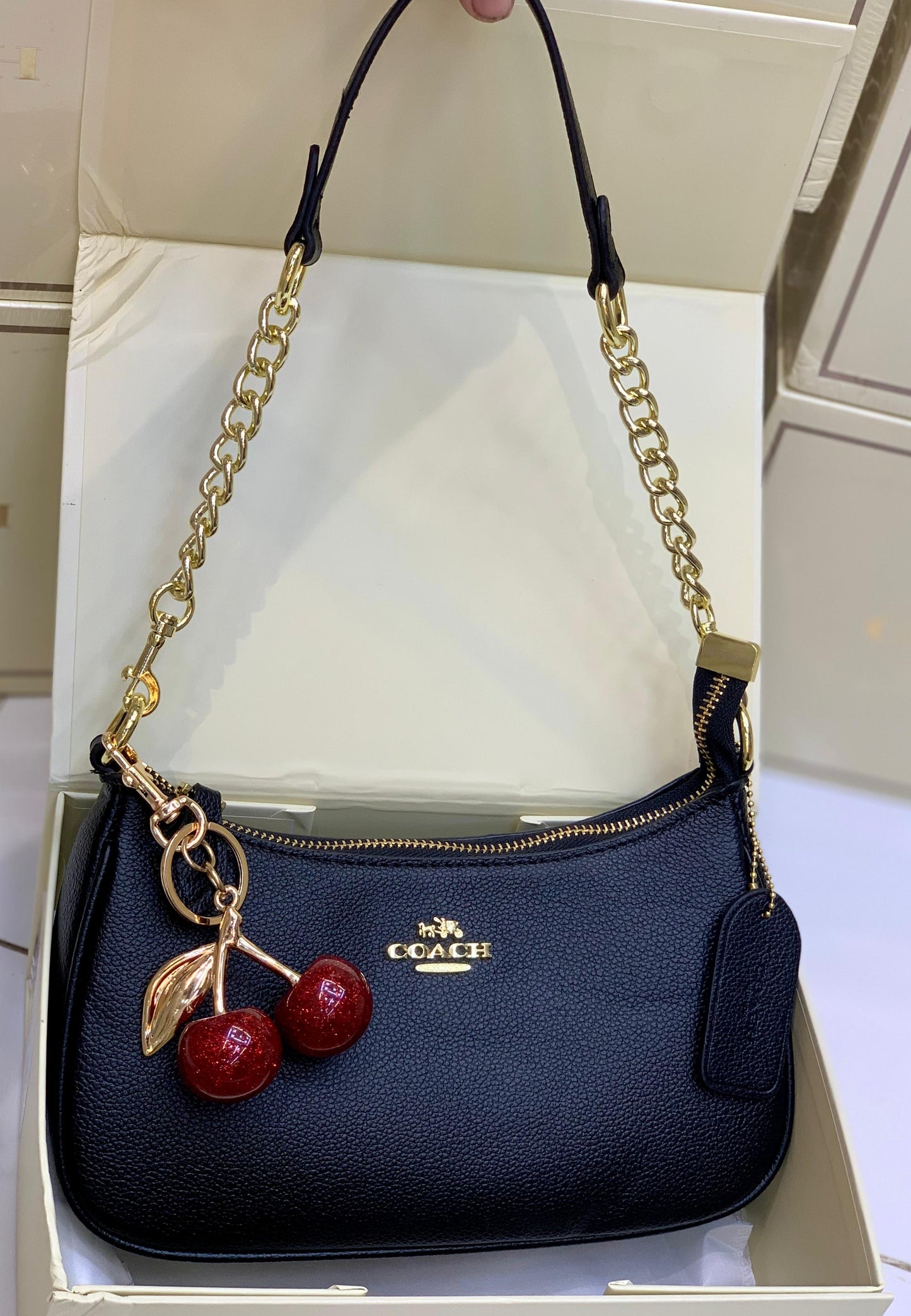 Coach Teri Shoulder Bag In Signature Canvas with Cherry Charm