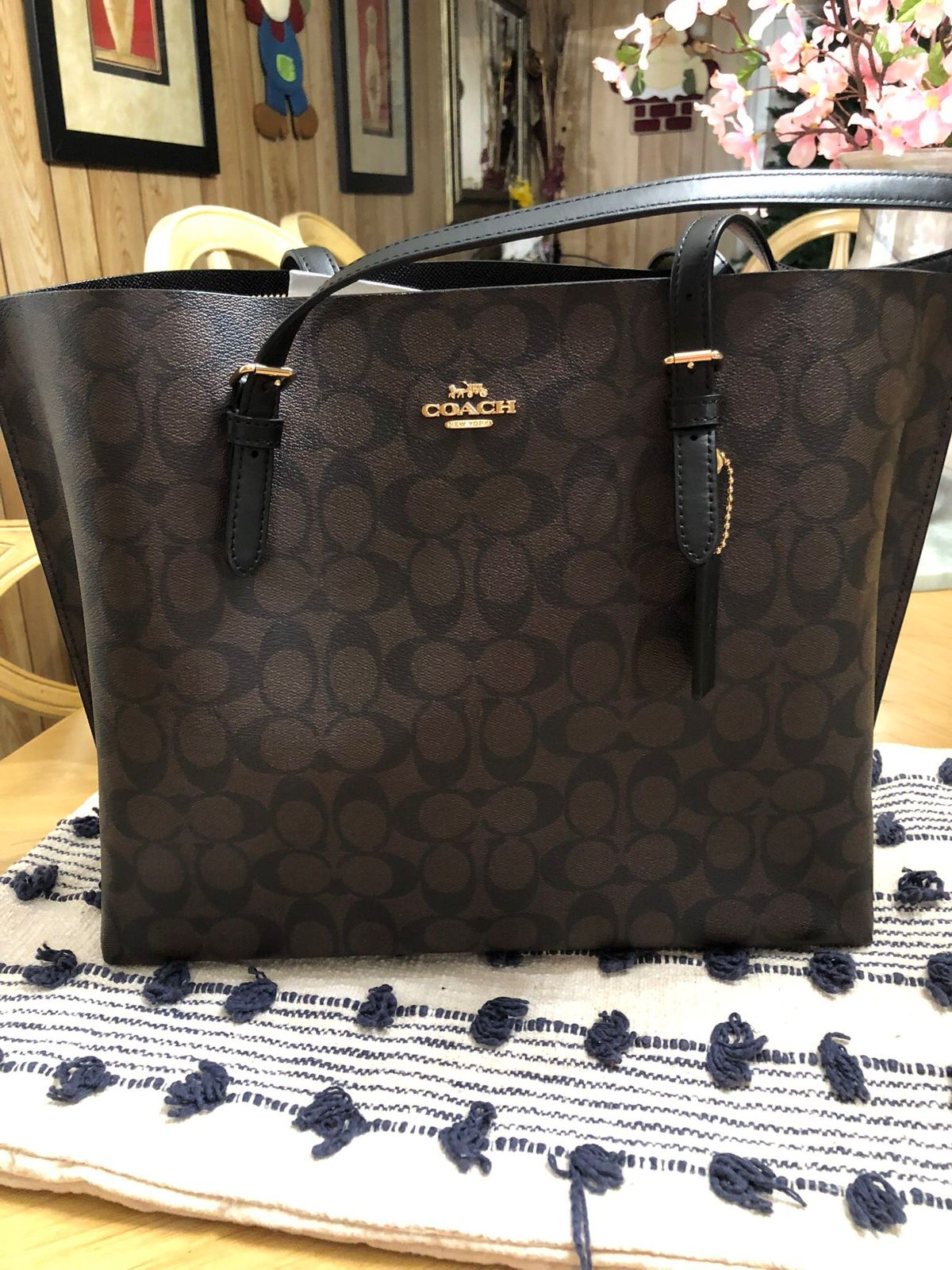 Coach Mollie Tote Bag 25 In Signature Canvas