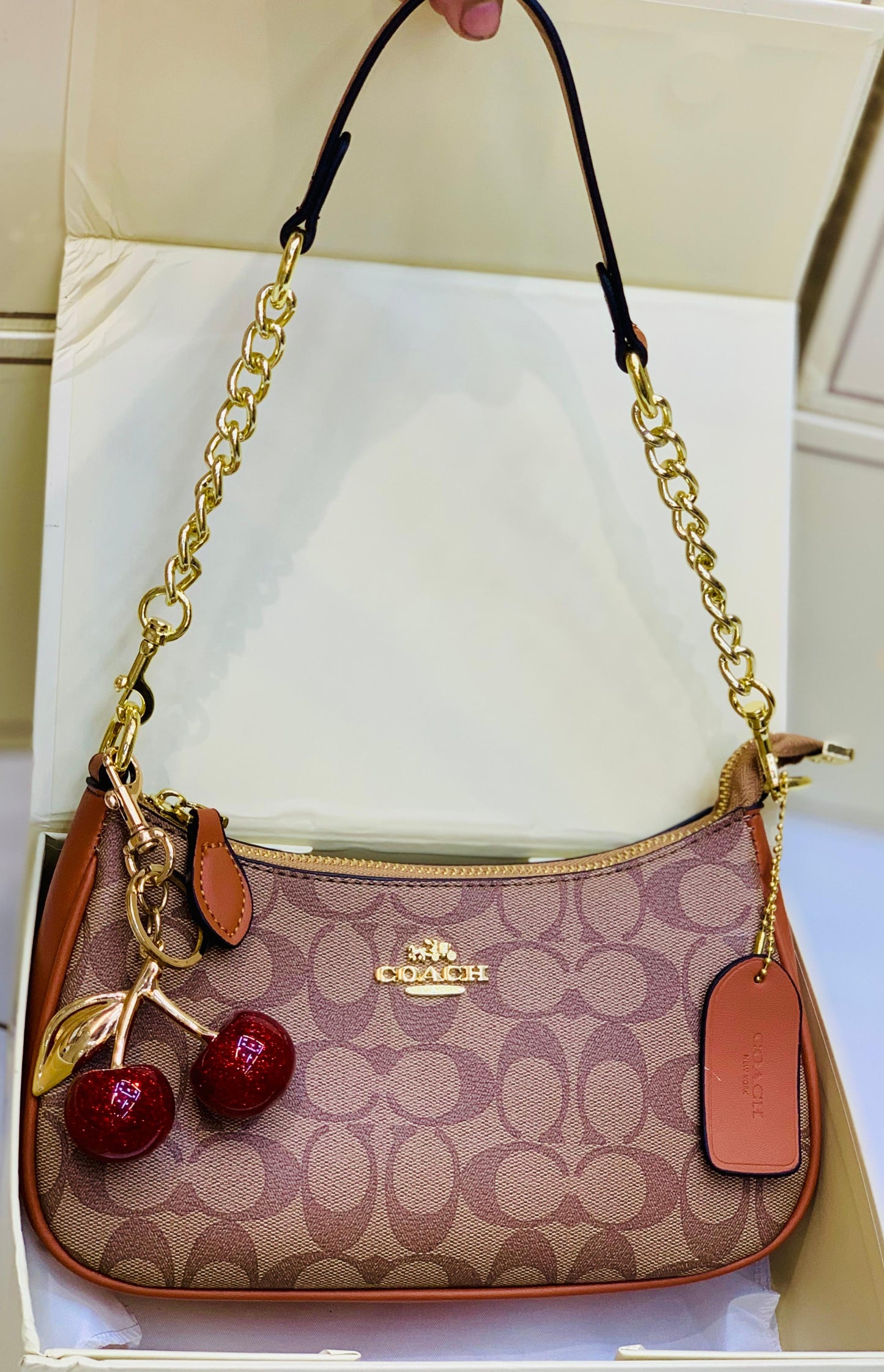 Coach Teri Shoulder Bag In Signature Canvas with Cherry Charm