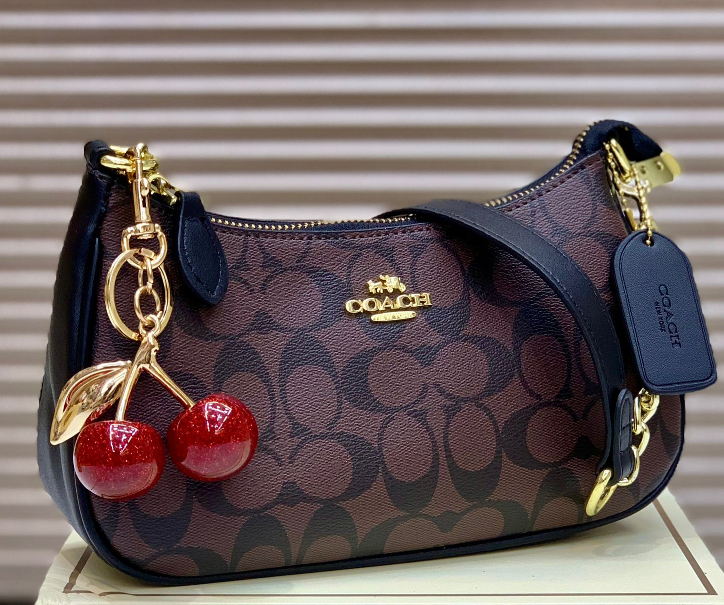 Coach Teri Shoulder Bag In Signature Canvas with Cherry Charm