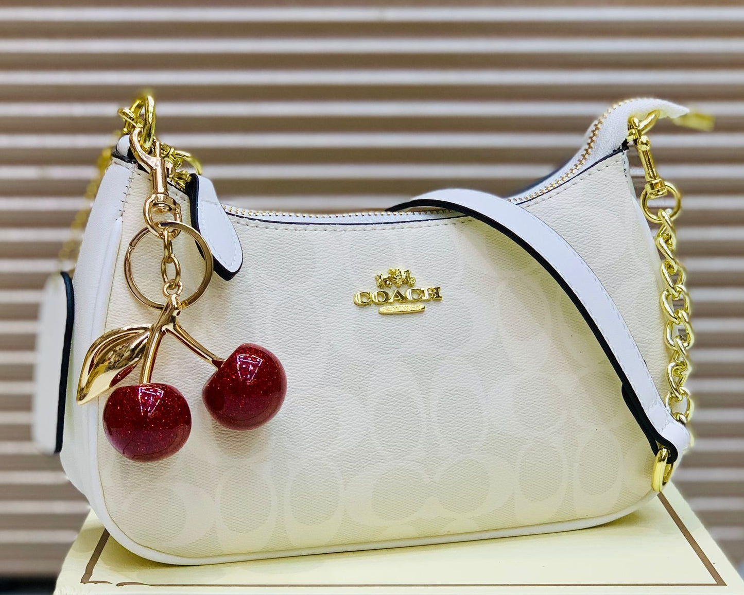 Coach Teri Shoulder Bag In Signature Canvas with Cherry Charm