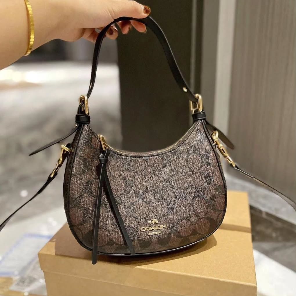 Coach Kleo Hobo in Signature Canvas (Dark Brown)