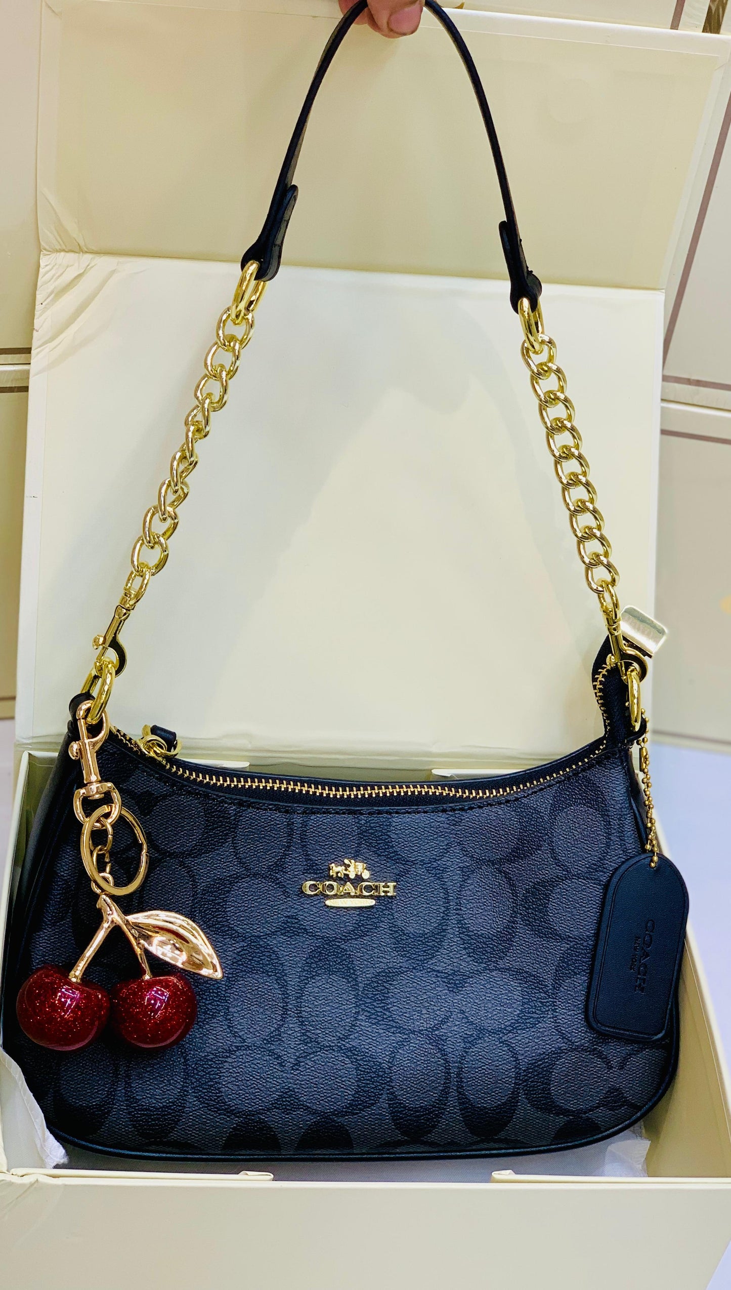 Coach Teri Shoulder Bag In Signature Canvas with Cherry Charm