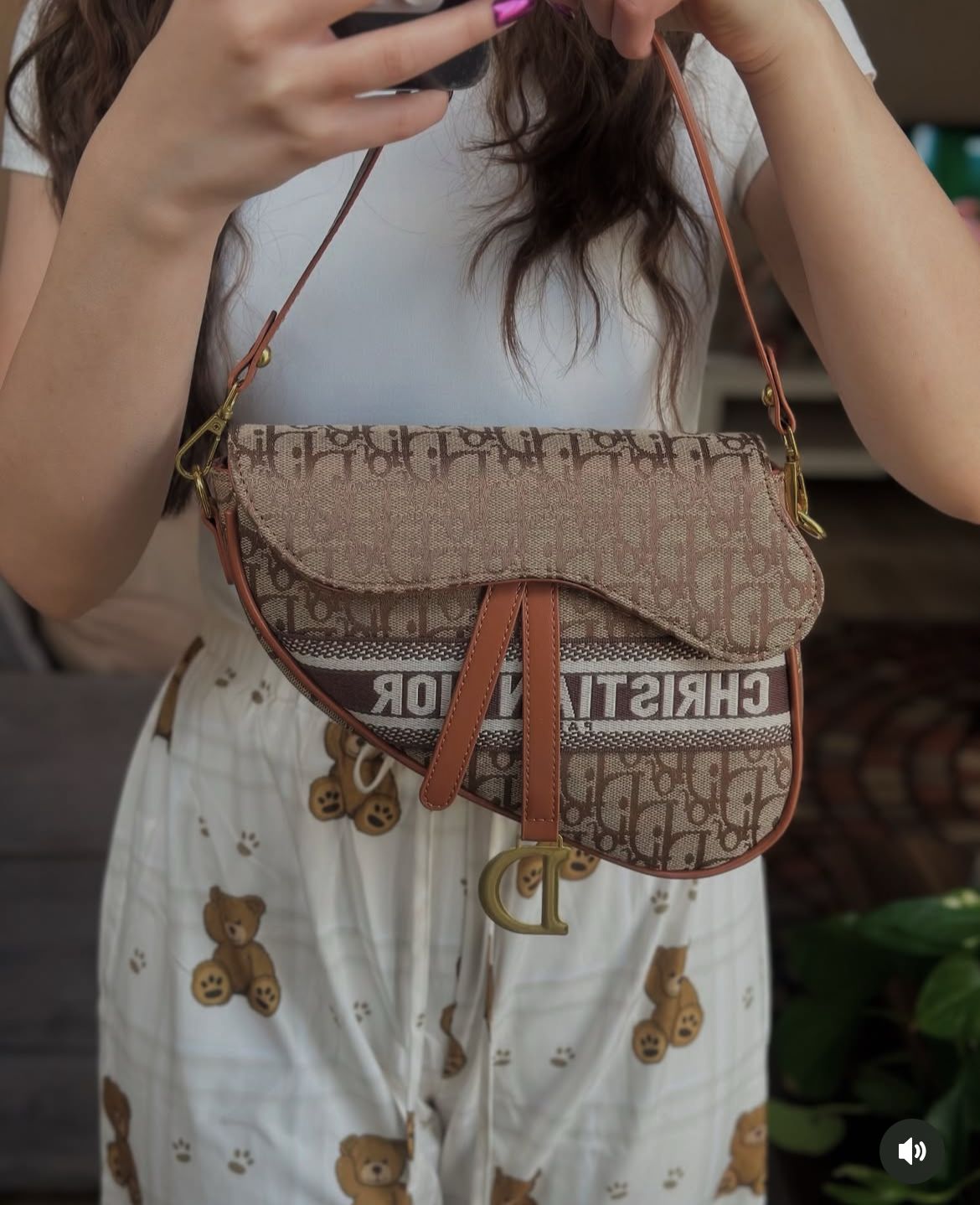 CHRISTIAN DIOR Saddle Bag