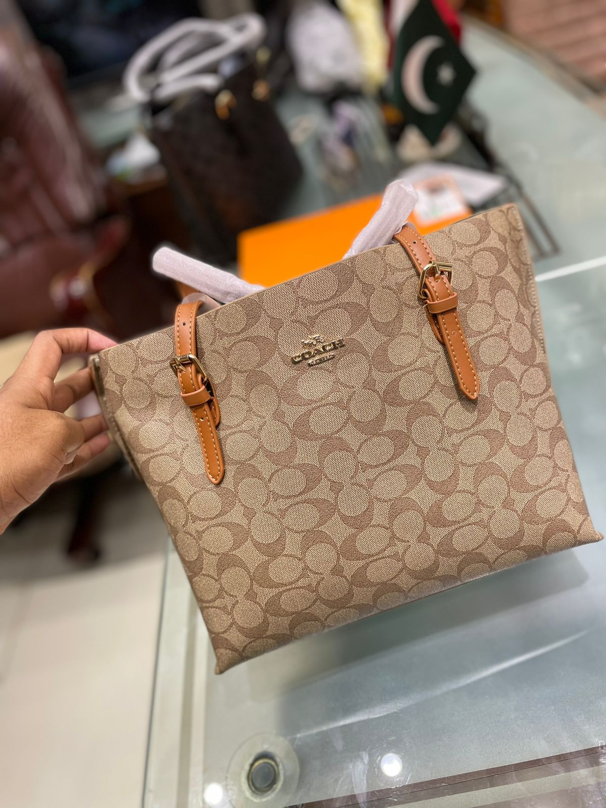 Coach Mollie Tote Bag 25 In Signature Canvas