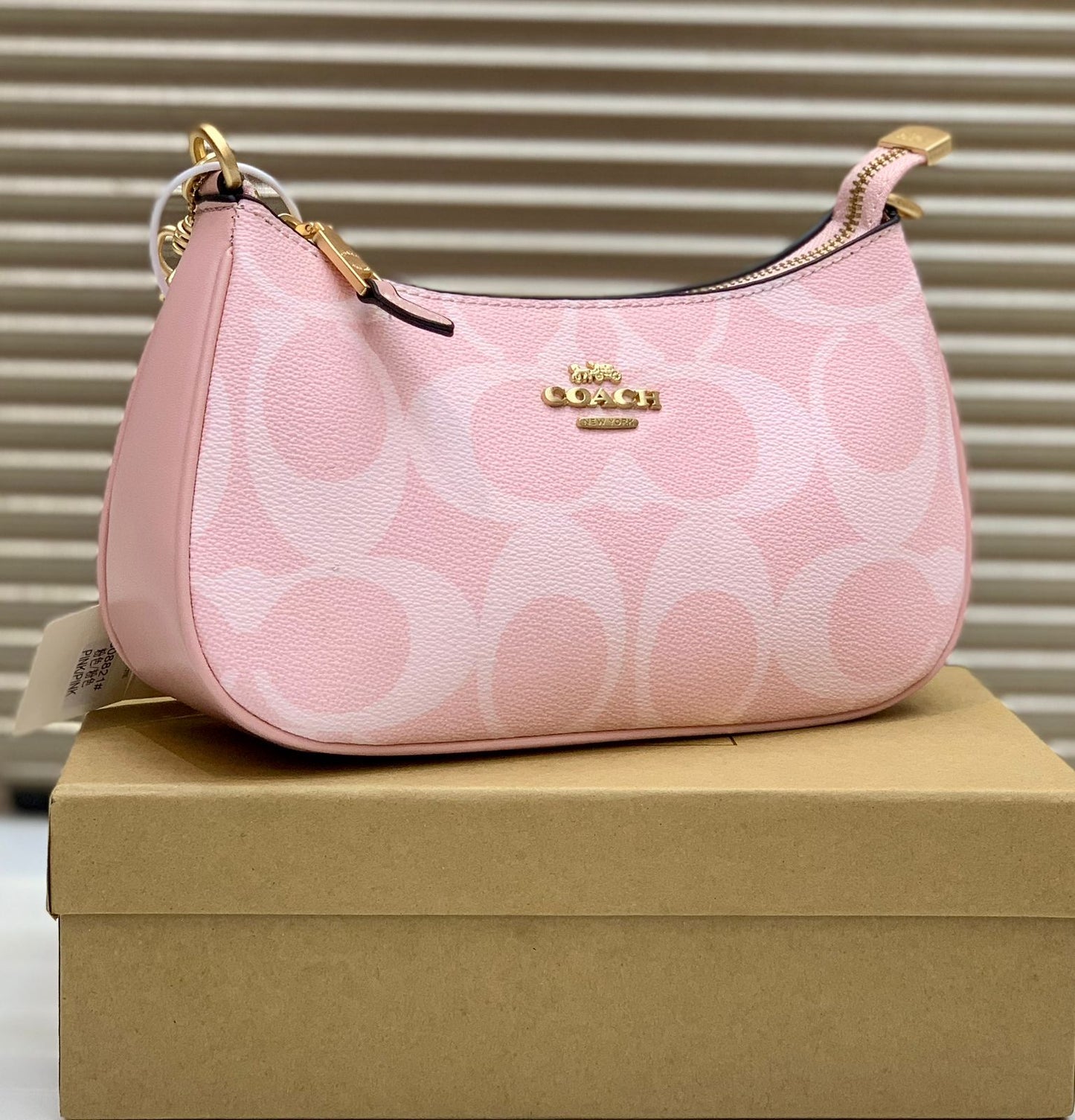 Coach Teri Shoulder Bag (Powder Pink)