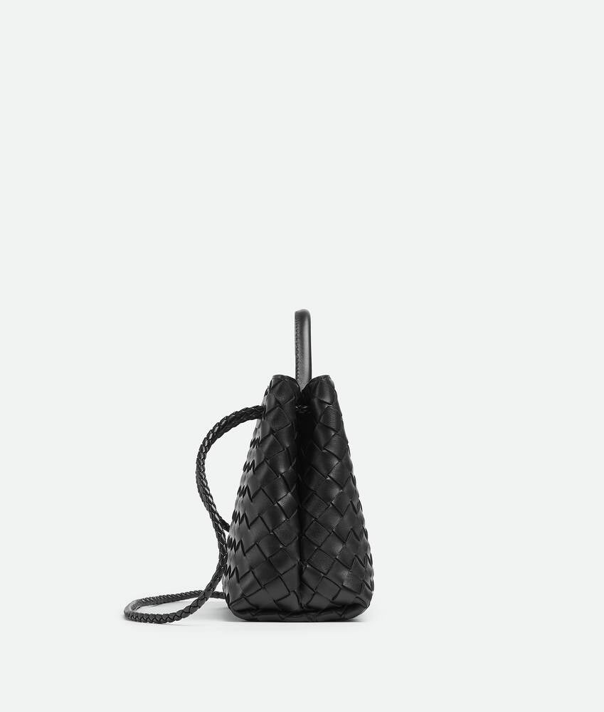 Bottega Venetta Andiamo Handbag (Black)