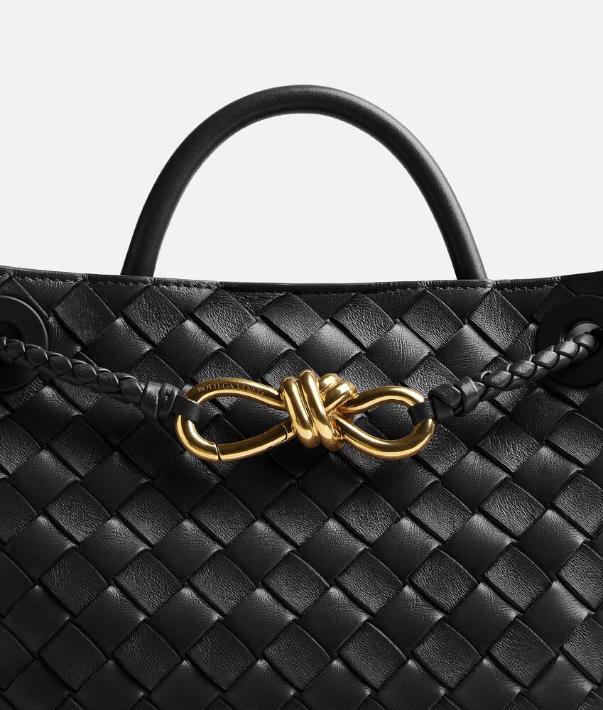 Bottega Venetta Andiamo Handbag (Black)