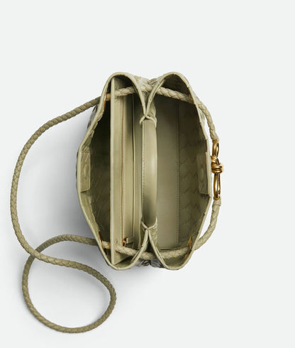 Bottega Venetta Andiamo Handbag (Sea Green)