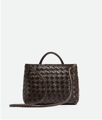 Bottega Venetta Andiamo Handbag (Brown)