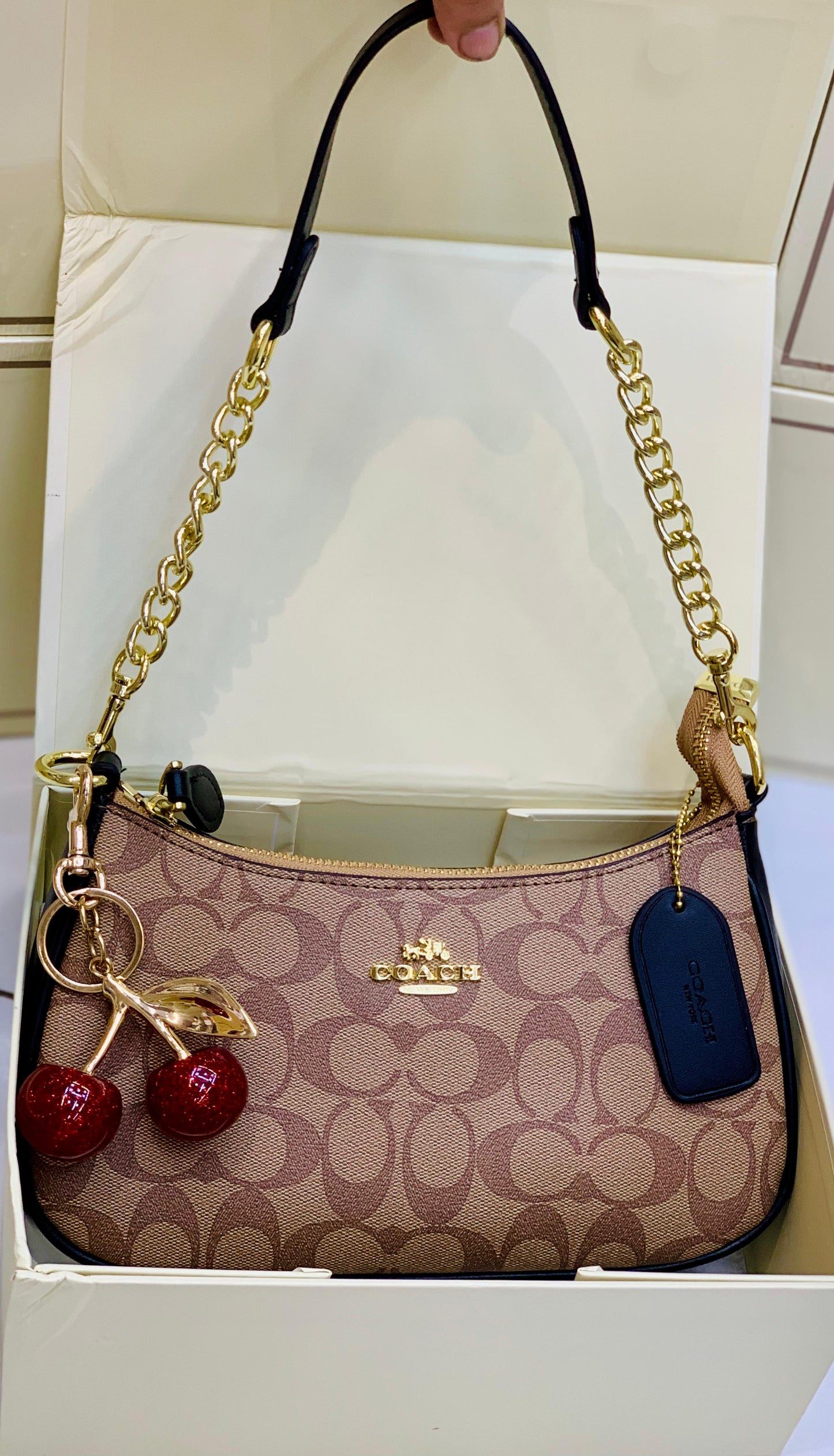 Coach Teri Shoulder Bag In Signature Canvas with Cherry Charm