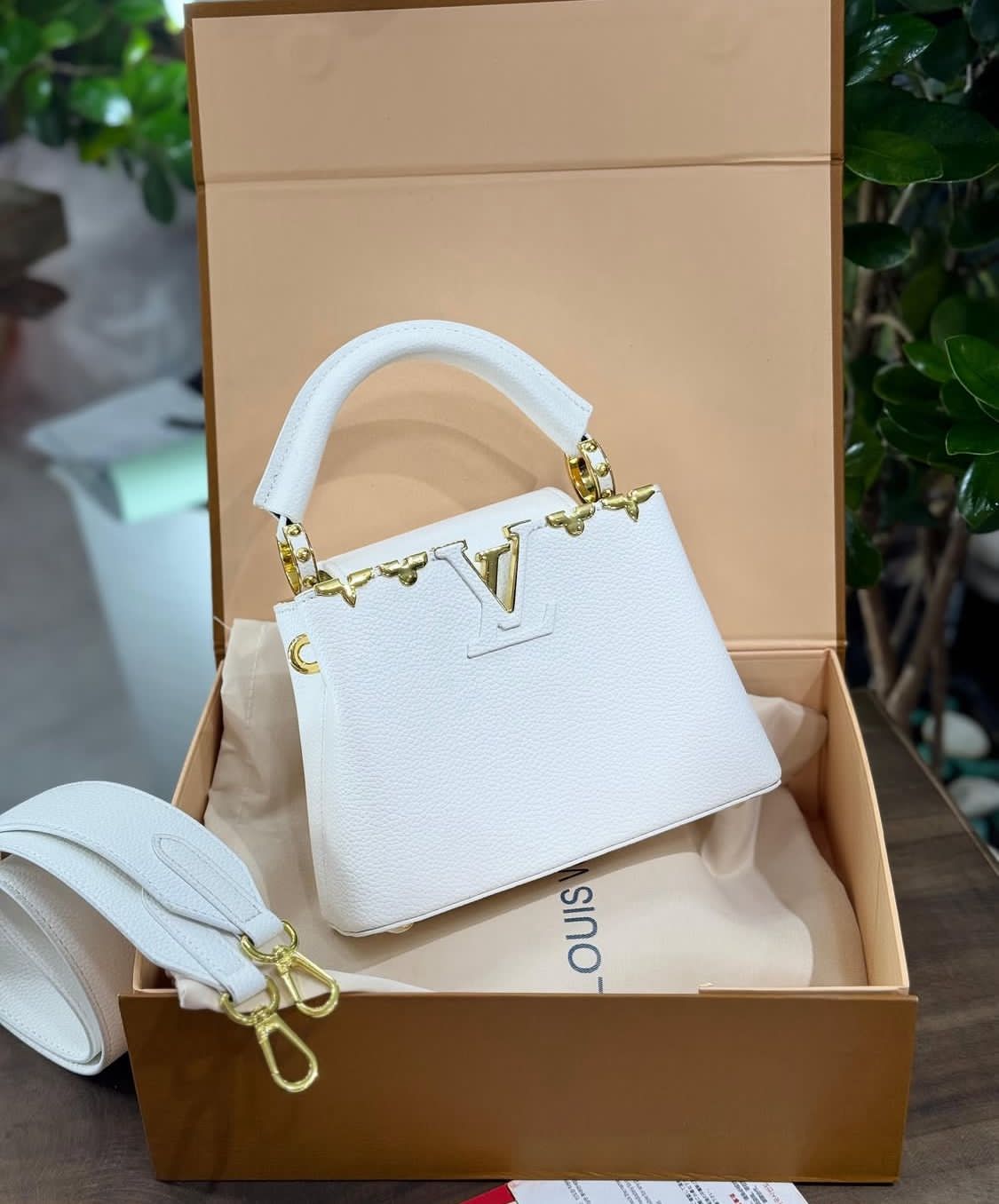 Louis Vuitton Capucines BB Hand Bag (White)