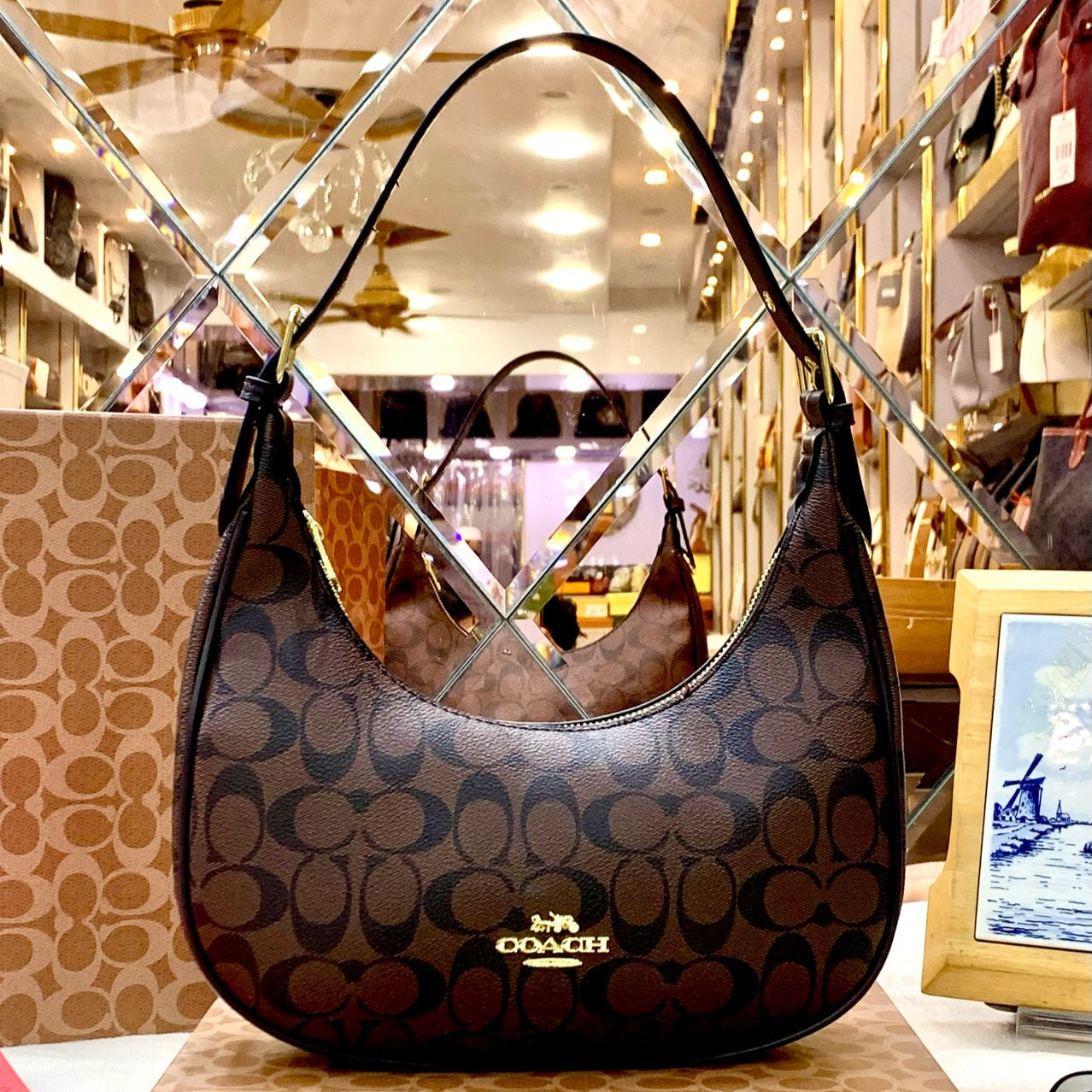 COACH Bailey Hobo Shoulder Bag Canvas Design