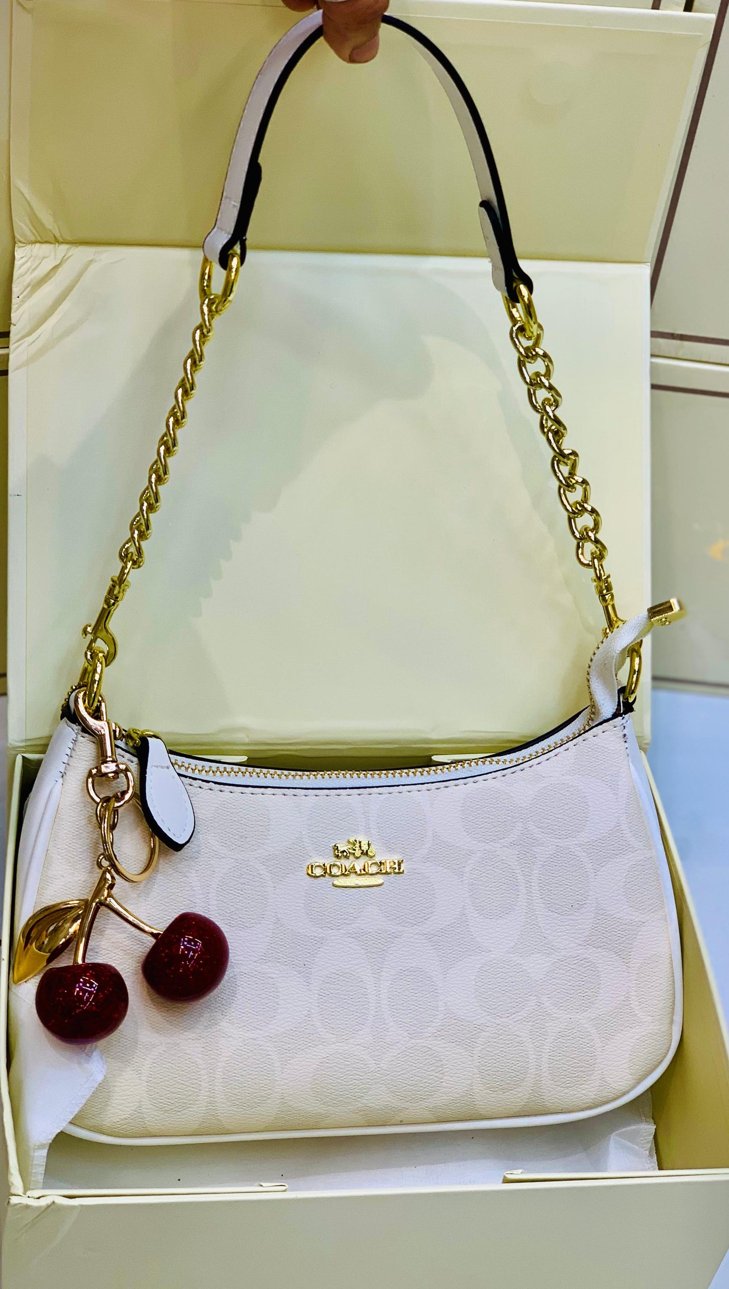 Coach Teri Shoulder Bag In Signature Canvas with Cherry Charm