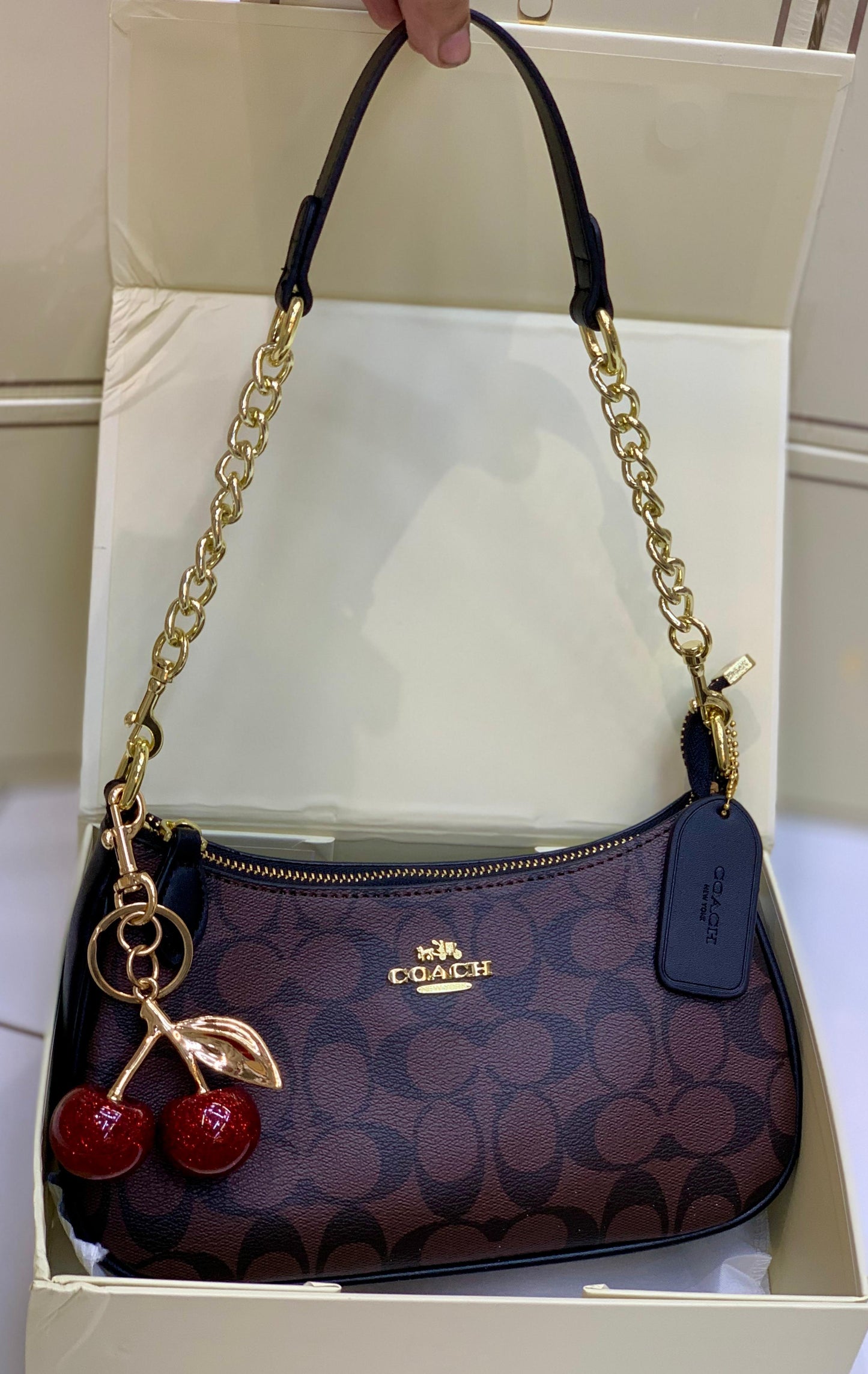Coach Teri Shoulder Bag In Signature Canvas with Cherry Charm
