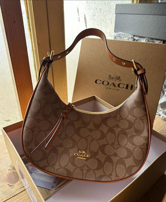 Coach Kleo Hobo in Signature Canvas (Brown)